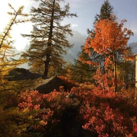 Astoria 3* Courmayeur