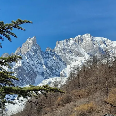 アストリア 3* クールマイユール