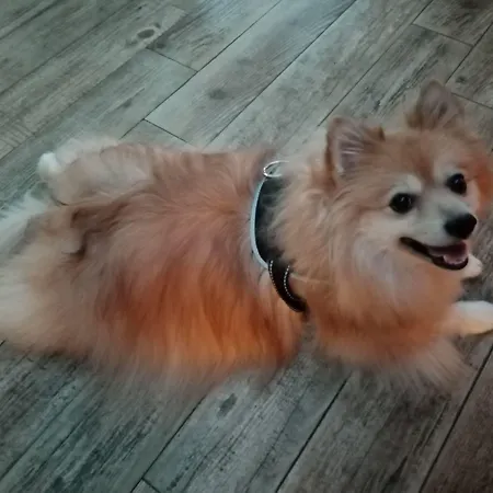 호텔 Astoria 쿠르마예