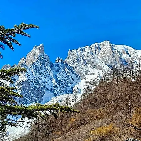 Отель Astoria Курмайор